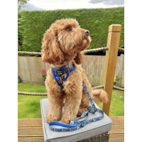 Wild Spirit Aqua Blue Leopard Lead - Reversible