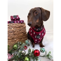 Winter Wonderland Christmas Dog Harness