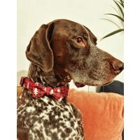 Winter Wonderland Plaid Christmas Dog Bow Tie