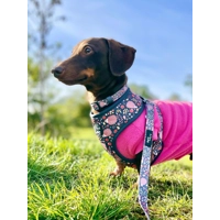 Woodland Hedgehog DOG HARNESS