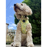 Zesty Butter Meadows Floral HARNESS