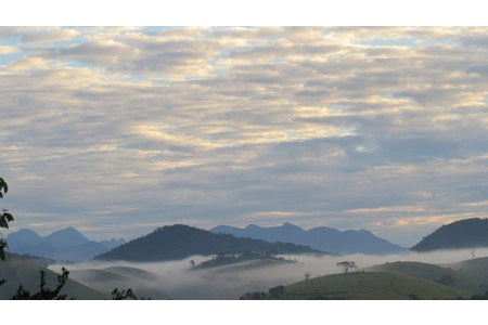 Drizzle Landscape Drizzle Landscape