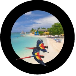 Parrots in Flight spare tire cover