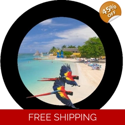 Parrots in Flight spare tire cover