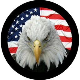 Eagle American Flag Tire Cover