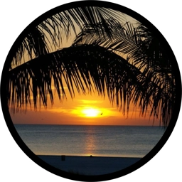 Cabo San Lucas Jeep Tire Cover