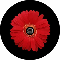 J L Red Sun Flower Tire Cover