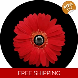J L Red Sun Flower Tire Cover