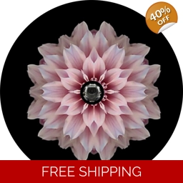 J L Back Up Camera Pink Flower