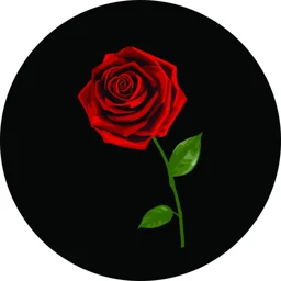 Red Rose Tire Cover