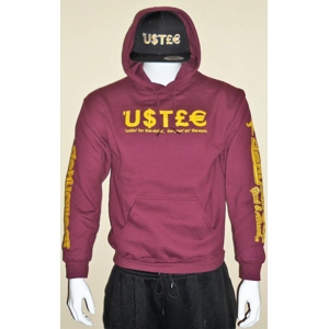 'U$TLE hoodie