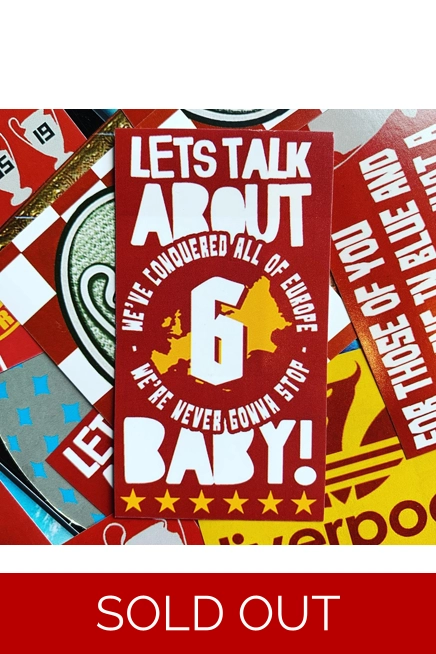 100 - Talk About Six 9cm x 5cm Stickers