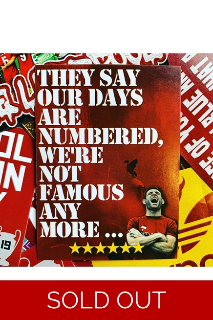 100 - Not Famous Anymore 6cm x 8cm Stickers