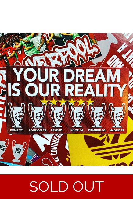 100 - Your Dream Is Our Reality 9cm x 5cm Stickers