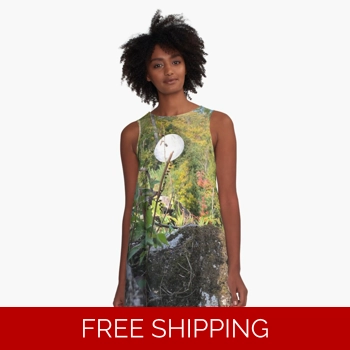 Le Studio A Line D..