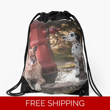 Le Studio Drawstring Bag Rus..