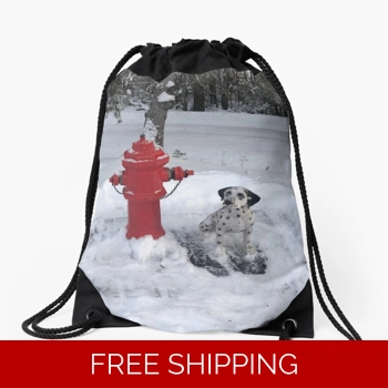 Le Studio Drawstring Bag Rus..