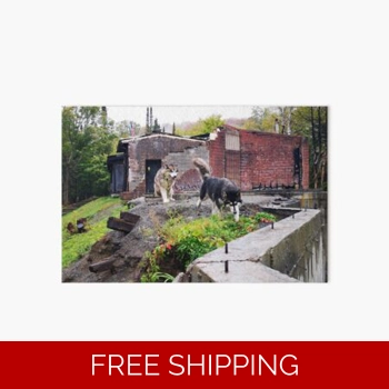 Le Studio Art Board Print Do..