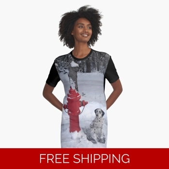 Le Studio Graphic ..