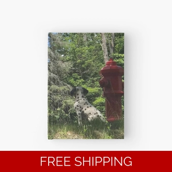 Le Studio Hardcover Journal ..