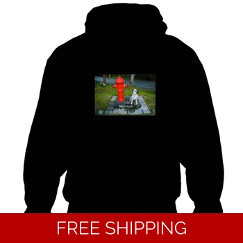 Le Studio Hoodie Rush Signal..