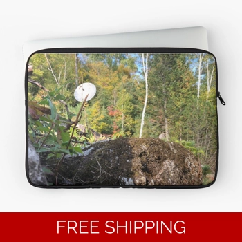 Le Studio Laptop S..