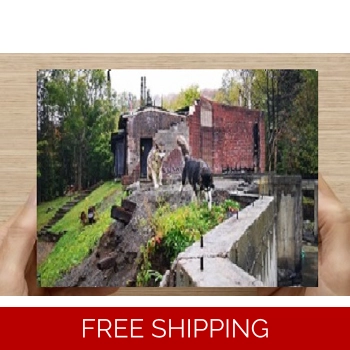 Le Studio Post Car..