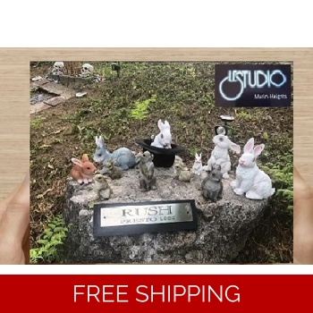 Le Studio Post Car..