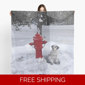 Le Studio Scarf Ru..