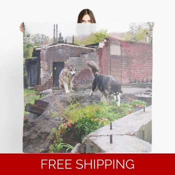 Le Studio Scarf Dogs 2019