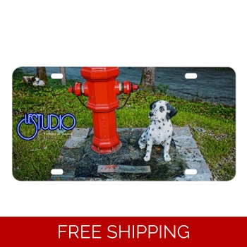 Le Studio License ..