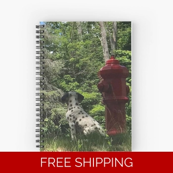 Le Studio Spiral N..