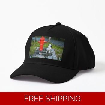 Le Studio Baseball Hat A Rus..