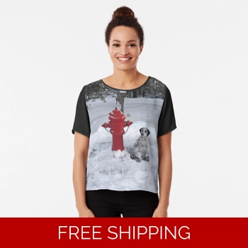 Le Studio Chiffon ..