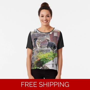 Le Studio Chiffon Top Dogs 2..