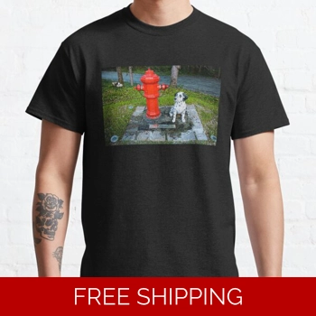 Le Studio Classic ..