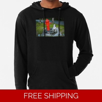 Le Studio Lightweight Hoodie..