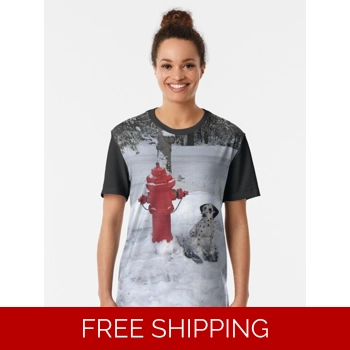 Le Studio Graphic ..