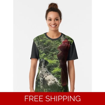 Le Studio Graphic ..