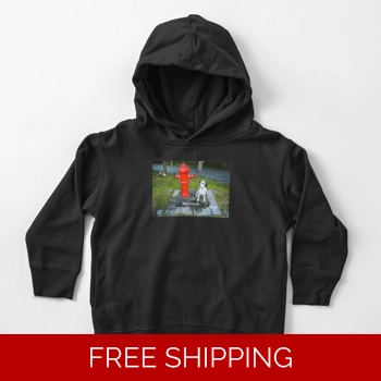 Le Studio Toddler Pullover H..