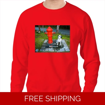 Le Studio Pullover Sweatshir..