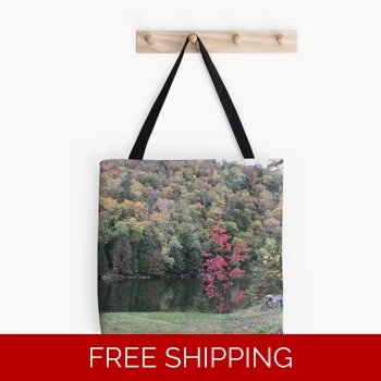 Le Studio Tote Bag Lake Perr..