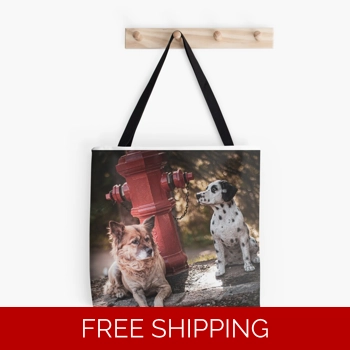 Le Studio Tote Bag..