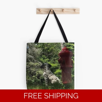 Le Studio Tote Bag..