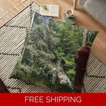 Floor Pillow Case ..