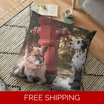 Floor Pillow Case ..