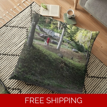Floor Pillow Case Front Yard..
