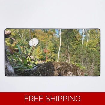 Le Studio Desk Mat Satellite..