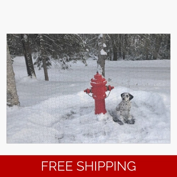 Le Studio Jigsaw P..