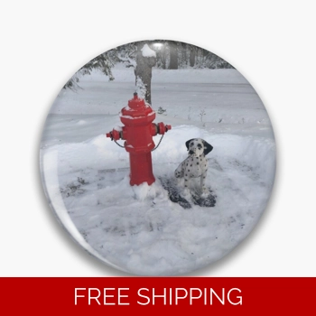 Le Studio Pin Rush Signals M..